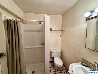 Charming Southwestern-style 3BD/2BA home off N Swan, surrounded