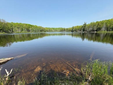 Lake Acreage For Sale in Mercer, Wisconsin