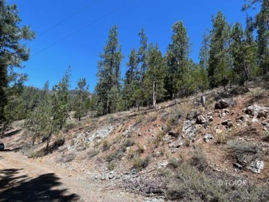 Lake Acreage For Sale in Coffee Creek, California