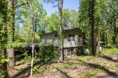 Beaver Fork Lake Home For Sale in Conway Arkansas