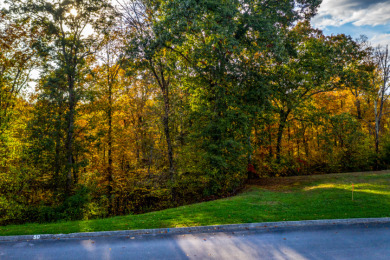 1.41 Acre Wooded Lot in Turners Landing w/ Seasonal Lakefront - photo 9