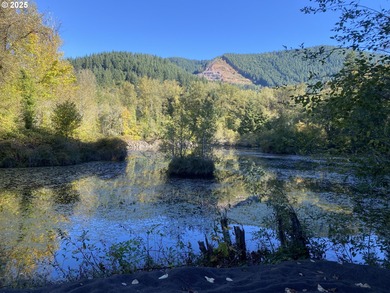 (private lake, pond, coastal) Lot For Sale in Brightwood Oregon