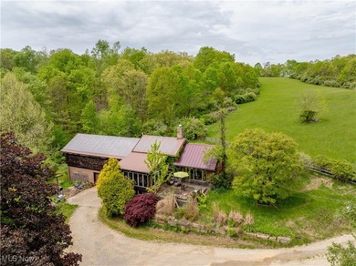 (private lake, pond, creek) Home For Sale in Port Washington Ohio