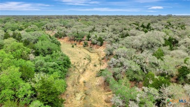Discover the rare opportunity to own 446+/- acres of exceptional - photo 3