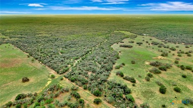 Discover the rare opportunity to own 446+/- acres of exceptional - photo 8