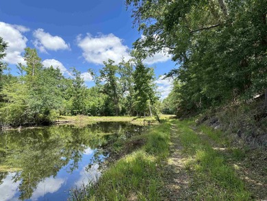 (private lake, pond, coastal) Acreage For Sale in Greeleyville South Carolina