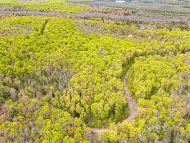 Lake Acreage For Sale in Marenisco, Michigan