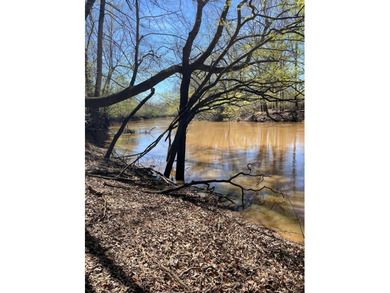 (private lake, pond, coastal) Acreage For Sale in Wells Texas