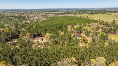 Location!! This 3 Acre tract is near beautiful Lake Nacogdoches! - photo 4