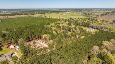 Location!! This 3 Acre tract is near beautiful Lake Nacogdoches! - photo 5