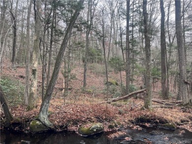 (private lake, pond, creek) Acreage For Sale in East Haddam Connecticut