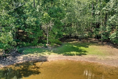 Very gentle slope Lake Lot in Shenandoah section of Savannah - photo 1