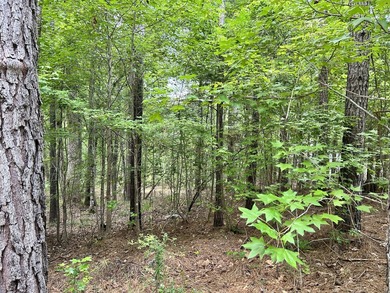 Very gentle slope Lake Lot in Shenandoah section of Savannah - photo 3