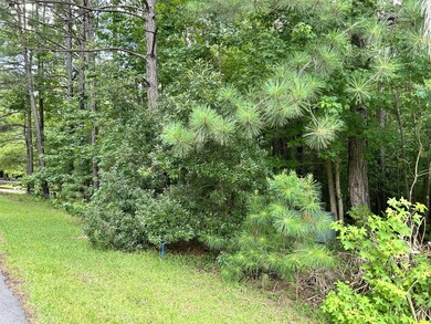 Very gentle slope Lake Lot in Shenandoah section of Savannah - photo 5
