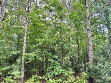 Very gentle slope Lake Lot in Shenandoah section of Savannah - photo 6