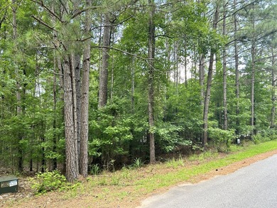 Very gentle slope Lake Lot in Shenandoah section of Savannah - photo 7