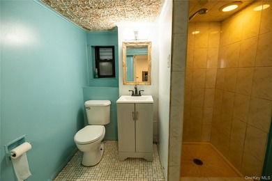 Don't miss your chance to own this legal two-family home - photo 23