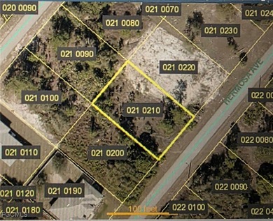 Lehigh Acres Area Lot For Sale in Lehigh Acres Florida