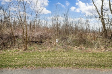 Lake Acreage For Sale in Cassopolis, Michigan