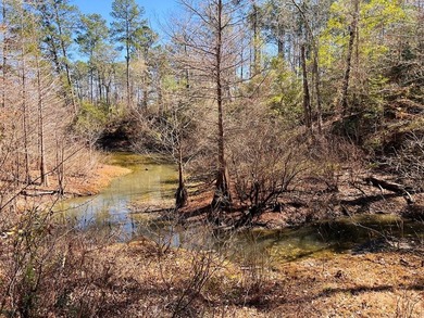Toledo Bend Lake Lot For Sale in Burkeville Texas
