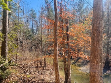Overlooking a seasonal cove of Toledo Bend, this unique property - photo 2