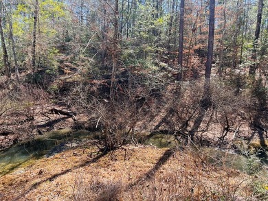 Overlooking a seasonal cove of Toledo Bend, this unique property - photo 5
