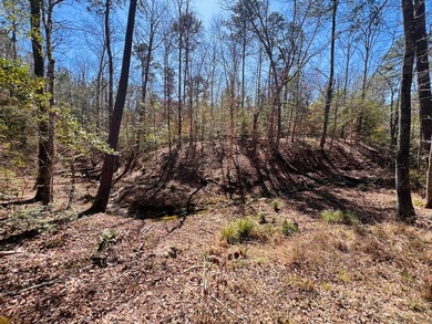 Overlooking a seasonal cove of Toledo Bend, this unique property - photo 8