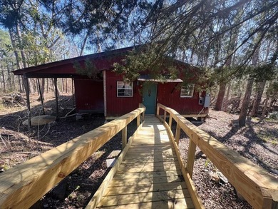 Overlooking a seasonal cove of Toledo Bend, this unique property - photo 2