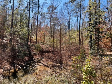 Overlooking a seasonal cove of Toledo Bend, this unique property - photo 7