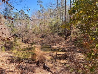 Overlooking a seasonal cove of Toledo Bend, this unique property - photo 9