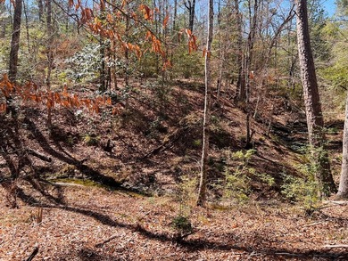 Overlooking a seasonal cove of Toledo Bend, this unique property - photo 10