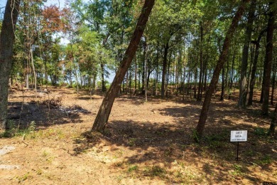 Lake Lot For Sale in Leesburg, Texas