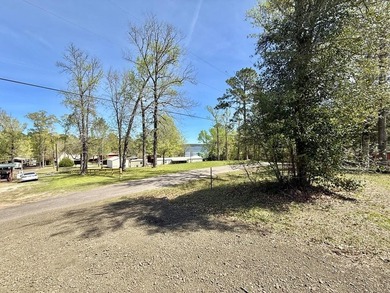 Enjoy the lake lifestyle with this beautifully updated 4-bedroom - photo 4