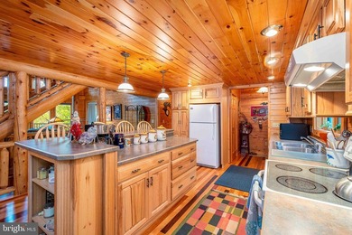 One-of-a-kind Youghiogheny riverfront estate offering 224 feet - photo 5