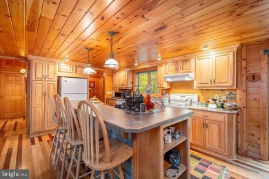 One-of-a-kind Youghiogheny riverfront estate offering 224 feet - photo 9