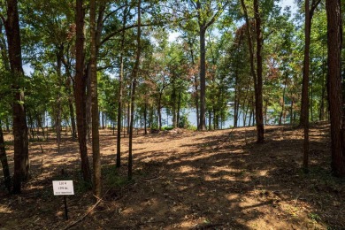 Lake Lot For Sale in Leesburg, Texas