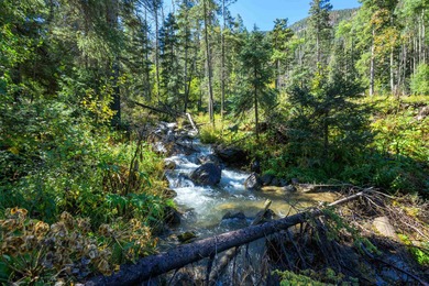 (private lake, pond, creek) Lot For Sale in Taos Ski Valley New Mexico