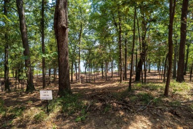 Lake Lot For Sale in Leesburg, Texas