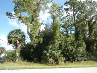 St. Johns River Lot For Sale in Satsuma Florida