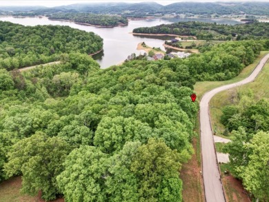 1.41 Acre Wooded Lot in Turners Landing w/ Seasonal Lakefront - photo 21
