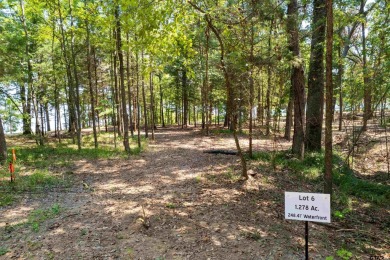 Lake Lot For Sale in Leesburg, Texas