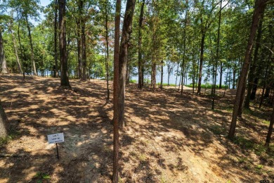 Lake Lot For Sale in Leesburg, Texas