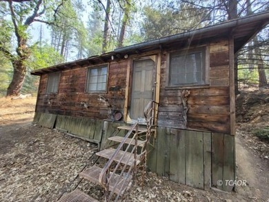 Trinity Lake / Clair Engle Lake Home For Sale in Lewiston California