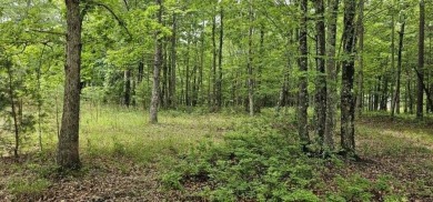 Lake Acreage For Sale in Dunlap, Tennessee