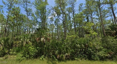 Lehigh Acres Area Lot For Sale in Lehigh Acres Florida