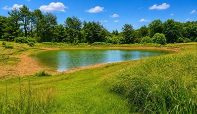 Nestled on 8 beautiful acres in Eubank, Kentucky, this charming - photo 3