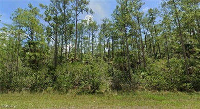 Lehigh Acres Area Lot For Sale in Lehigh Acres Florida