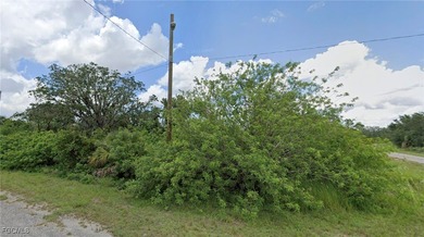 Lehigh Acres Area Lot For Sale in Lehigh Acres Florida