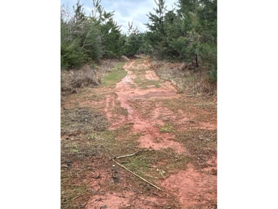 Prime 15-Acre Retreat - Just 4 Miles from Toledo Bend Lake & - photo 2