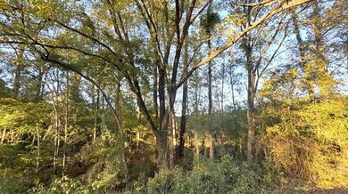 Prime 15-Acre Retreat - Just 4 Miles from Toledo Bend Lake & - photo 3